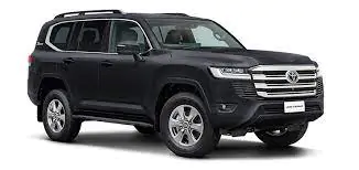 300 SERIES 11/21-11/24 VX